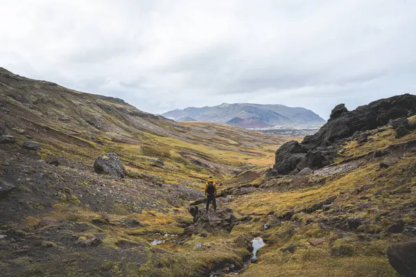 Sırt çantalı yalnız yürüyüşçü, İzlanda 'nın gerçeküstü volkanik dağlarını keşfeder. Altın yosunların karamsar kayaların altında kara lav kayalarıyla buluştuğu, el değmemiş ve destansı bir yer.