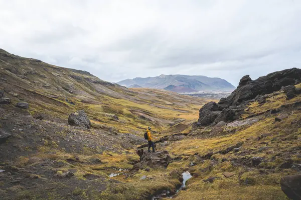 Sırt çantalı yalnız yürüyüşçü, İzlanda 'nın gerçeküstü volkanik dağlarını keşfeder. Altın yosunların karamsar kayaların altında kara lav kayalarıyla buluştuğu, el değmemiş ve destansı bir yer.