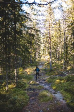 Maceracı Oslo Marka 'nın sık ormanlarında çamurlu bir patikada yürüyor, her adımın Norveç' in el değmemiş çöllerinde daha da derinlere indiği yerde..