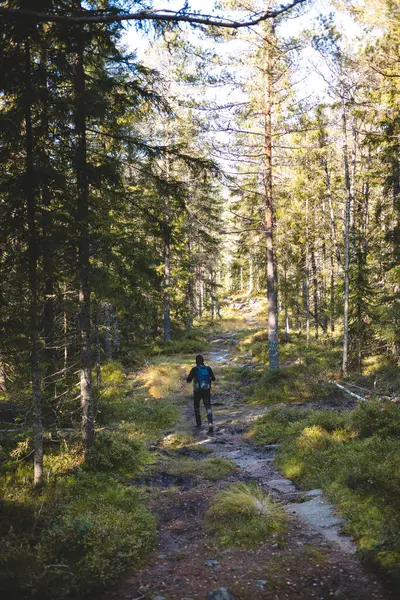 Maceracı Oslo Marka 'nın sık ormanlarında çamurlu bir patikada yürüyor, her adımın Norveç' in el değmemiş çöllerinde daha da derinlere indiği yerde..
