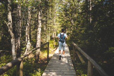 Bir adam ormandaki ahşap bir köprüde yürüyor. Sırt çantası takıyor ve sırtında bir sırt çantası var. Orman yemyeşil ve yemyeşil. Ağaçların arasından güneş ışığı parlıyor.