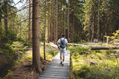 Bir adam ormandaki ahşap bir köprüde yürüyor. Sırt çantası takıyor ve sırtında bir sırt çantası var. Orman yemyeşil ve yemyeşil. Ağaçların arasından güneş ışığı parlıyor.