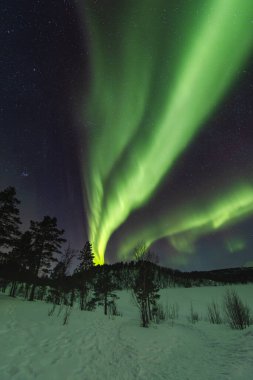 Canlı yeşil aurora borealis dalgaları yıldızlarla benekli Arktik gökyüzünü süpürüyor, geceyi doğanın en büyüleyici ışık gösterisiyle boyuyor. Norveç gökyüzü gösterisi