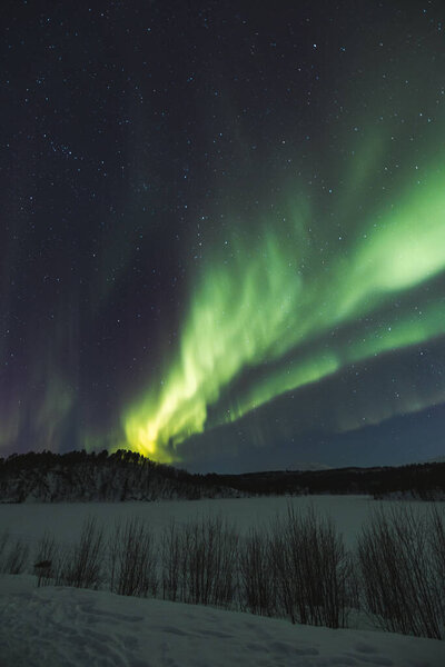 Waves of vivid green aurora borealis sweep across a star-speckled Arctic sky, painting the night with nature most mesmerizing light show. Norwegian sky show