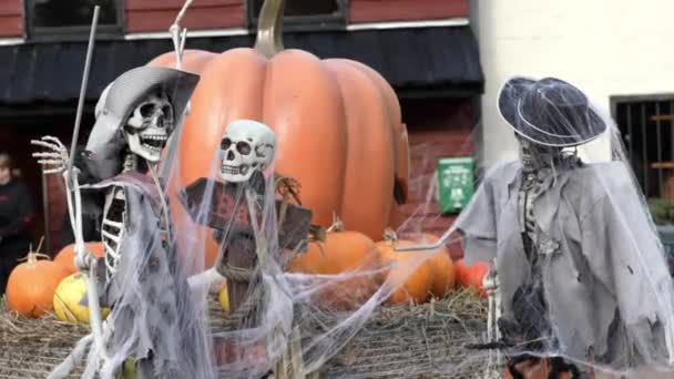 Esqueleto Gira Cabeza Halloween Cráneo Pirata Con Huesos Cerca Celebración — Vídeos de Stock