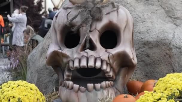 Szkielet Odwraca Głowę Halloween Czaszka Pirata Kośćmi Bliska Halloween Halloween — Wideo stockowe