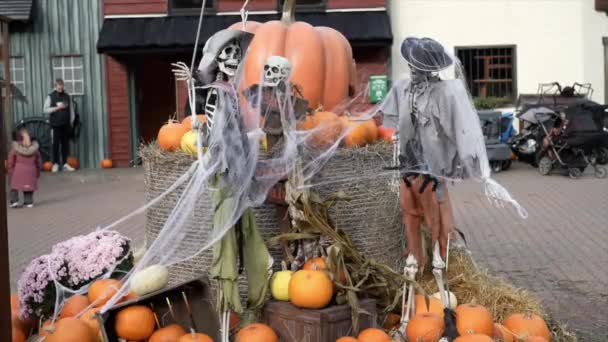 Csontváz Elfordítja Fejét Halloween Kalóz Koponya Csontokkal Közeli Halloween Ünnepe — Stock videók