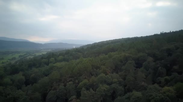 Γραφική Εναέρια Άποψη Των Βουνών Που Καλύπτονται Δάσος Ουκρανία Υψηλής — Αρχείο Βίντεο