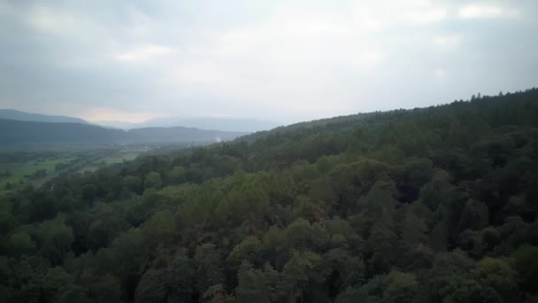 Vista Aérea Escénica Las Montañas Cubiertas Bosque Ucrania Imágenes Alta — Vídeos de Stock