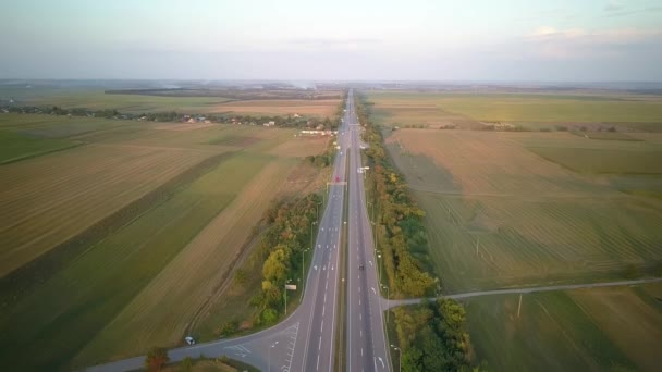 Vista Aérea Drone Voo Sobre Floresta Pinheiro Estrada País Luz — Vídeo de Stock
