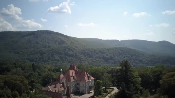 Shooting Birds Eye View Aerial View Castle Schonborn One Most — Stock Video