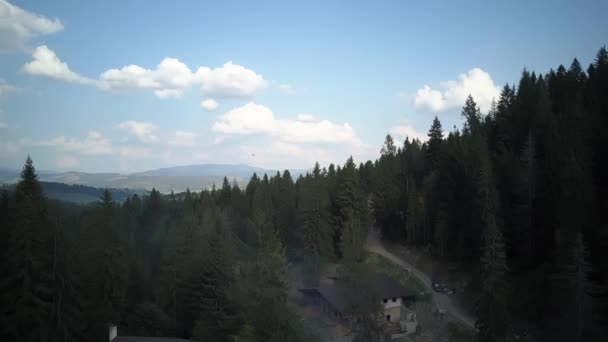 Malowniczy Widok Lotu Ptaka Góry Pokryte Lasem Ukraina Wysokiej Jakości — Wideo stockowe