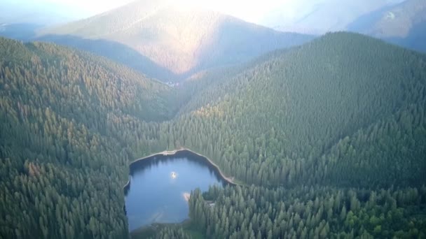 Mountain Lake Synevyr Aerial View Carpathian Mountains Ukraine Aerial View — Wideo stockowe