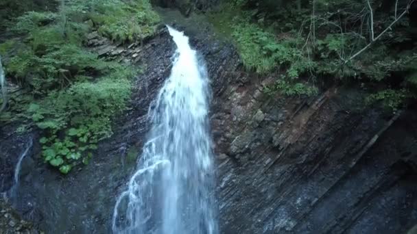 Cachoeira Maravilhosa Rio Montanha Cárpatos Maravilhosa Cachoeira Montanha Dos Cárpatos — Vídeo de Stock