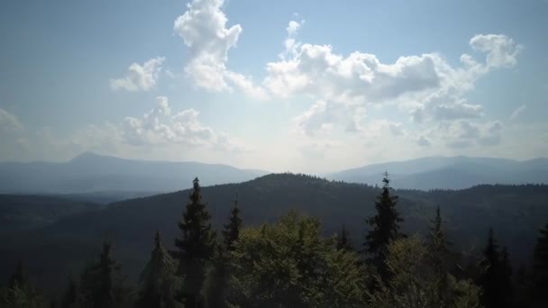 Malowniczy Widok Lotu Ptaka Góry Pokryte Lasem Ukraina Wysokiej Jakości — Wideo stockowe