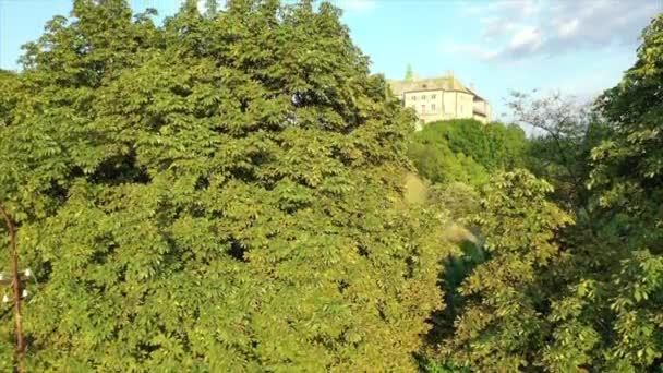 Olesko Palace Air Reserve Summer Park Hills Ukraine Aerial Shot — Stok video