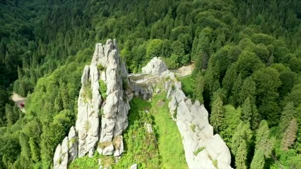 Vista Aérea Del Dron Fortaleza Tustan Monumento Medieval Fortaleza Parque — Vídeo de stock