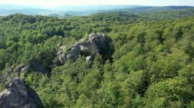 Gün doğumunda Karpat Dağları 'ndaki Dovbush Kayaları, Bubnyshche, Ukrayna, Bubnyshche' deki Dovbush Kayalıkları güneşli bir günde güzel Karpat ormanları ve dağları arasında fantastik kayalar, Ukrayna.