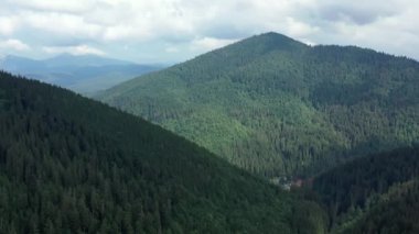 Ukrayna 'daki Karpat Dağları' ndaki Synevir Gölü 'nün havadan görünüşü. Yaz ormanındaki sisli göl. Yazın Carpathian montajı. Karpatya doğası, yükselen göl. Hava manzaralı Synevir Gölü, Ukrayna