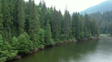 Ukrayna 'daki Karpat Dağları' ndaki Synevir Gölü 'nün havadan görünüşü. Yaz ormanındaki sisli göl. Yazın Carpathian montajı. Karpatya doğası, yükselen göl. Hava manzaralı Synevir Gölü, Ukrayna