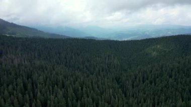 Ukrayna 'daki Karpat Dağları' ndaki Synevir Gölü 'nün havadan görünüşü. Yaz ormanındaki sisli göl. Yazın Carpathian montajı. Karpatya doğası, yükselen göl. Hava manzaralı Synevir Gölü, Ukrayna