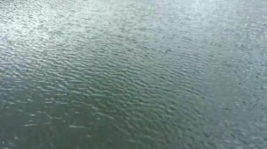 Ukrayna 'daki Karpat Dağları' ndaki Synevir Gölü 'nün havadan görünüşü. Yaz ormanındaki sisli göl. Yazın Carpathian montajı. Karpatya doğası, yükselen göl. Hava manzaralı Synevir Gölü, Ukrayna