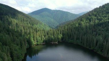 Ukrayna 'daki Karpat Dağları' ndaki Synevir Gölü 'nün havadan görünüşü. Yaz ormanındaki sisli göl. Yazın Carpathian montajı. Karpatya doğası, yükselen göl. Hava manzaralı Synevir Gölü, Ukrayna