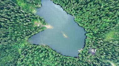 Ukrayna 'daki Karpat Dağları' ndaki Synevir Gölü 'nün havadan görünüşü. Yaz ormanındaki sisli göl. Yazın Carpathian montajı. Karpatya doğası, yükselen göl. Hava manzaralı Synevir Gölü, Ukrayna