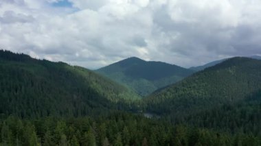 Ukrayna 'daki Karpat Dağları' ndaki Synevir Gölü 'nün havadan görünüşü. Yaz ormanındaki sisli göl. Yazın Carpathian montajı. Karpatya doğası, yükselen göl. Hava manzaralı Synevir Gölü, Ukrayna