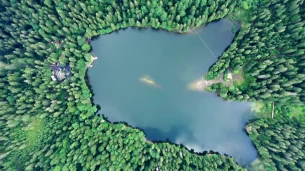 Aerial View Wild Lake Synevir Carpathian Mountains Ukraine Foggy Lake — Stock Video