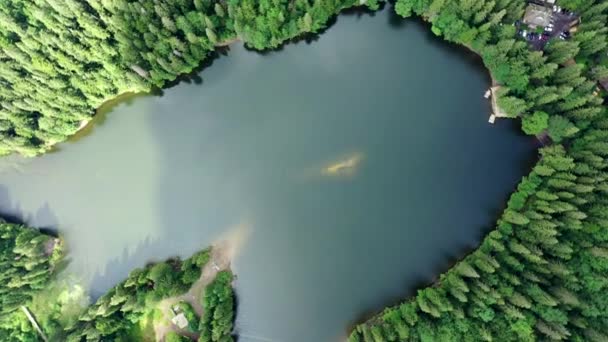 Vue Aérienne Lac Synevir Sauvage Dans Les Carpates Ukraine Foggy — Video