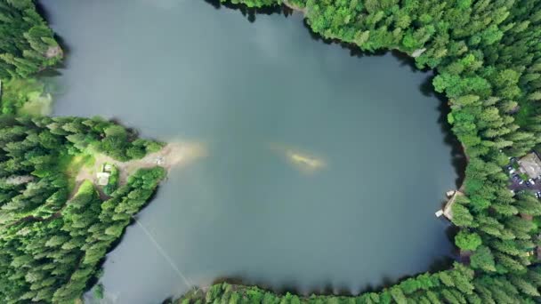 Aerial View Wild Lake Synevir Carpathian Mountains Ukraine Foggy Lake — Stock Video