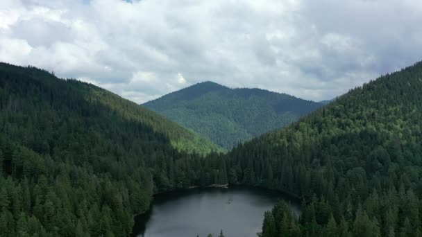 Widok Lotu Ptaka Dzikiego Jeziora Synevir Karpatach Ukrainie Mgliste Jezioro — Wideo stockowe
