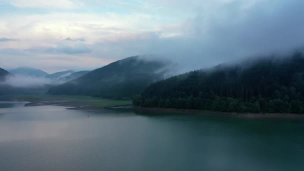 Vue Panoramique Eau Dans Lac Forêt Montagne Avec Des Pins — Video