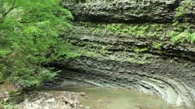 Kamera ağaçlar ve kayalar arasındaki orman yolu boyunca hareket ediyor, yaprak döken ormanlarda çok ileri gidiyor. Kayalık yolda yakınlaştır. Vahşi yaşam tarzı. Bitkilerin arasında yürü.