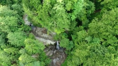 Şelale Manyavsky Şelalesi, üzerinde bir sürü taş ve ağaç gövdesi olan eski bir sineklik kayası, tepesinde devrilmiş ağaç gövdesi ve yeşil ağaçlar olan Dağ Şelalesi PAN, sinema havası. 