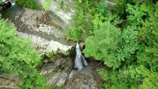 地面に石Aと木の幹がたくさんある古代のフラッシュ岩の滝万葉の滝 上に倒木の幹と緑の木と山の滝Pan シネマティック航空 — ストック動画