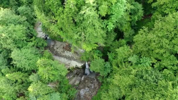 地面に石Aと木の幹がたくさんある古代のフラッシュ岩の滝万葉の滝 上に倒木の幹と緑の木と山の滝Pan シネマティック航空 — ストック動画