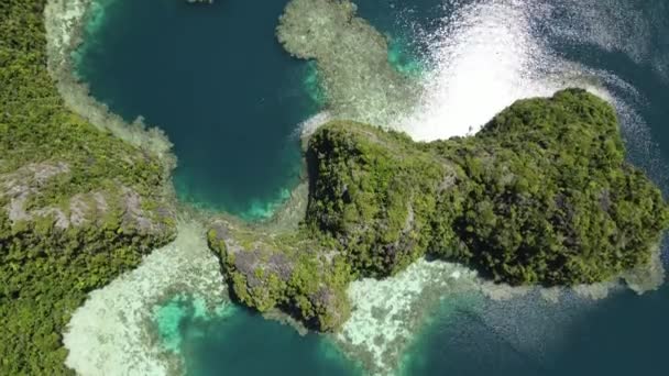 Aereo Drone Video Paradiso Tropicale Esotico Isola Baia Ricoperta Alberi — Video Stock