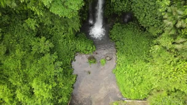 緑の熱帯雨林の滝 山のジャングルの中でトリプル滝の空中ビュー インドネシアのバリ 旅行のコンセプト 空中映像だ 強力なストリーム 熱帯林と滝と滝 — ストック動画