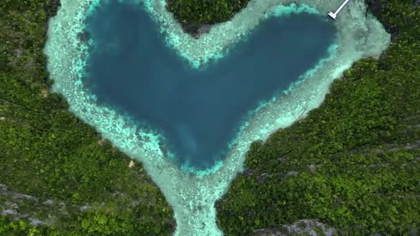 パラダイス島 ハート型のラグーンを眺め ハートを形成し 熱帯の島の上を海の中のハートの形で飛んでいる男のPovの視点 ロマンチックな旅 ハート型の島 — ストック動画