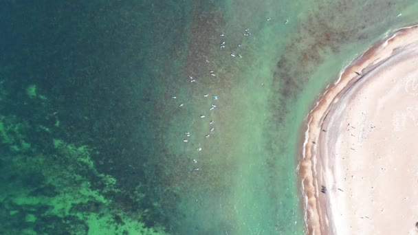 Volando Largo Del Agua Cristalina Costa Azul Con Barcos Sentados — Vídeo de stock