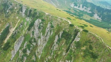 Ukrayna, ormanla kaplı dağların manzaralı manzarası. Yüksek kalite 4K görüntü, Aerial. Yaz boyunca arka uçuş Ağaçlarla kaplı parlak dağ tepeleri, Dağ SpITSI CARPATHİANS