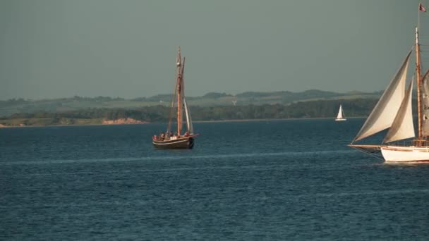 Boat Festival Danii Aarhus Skandynawia Nowoczesny Jacht Żaglowy Wchodzący Starego — Wideo stockowe