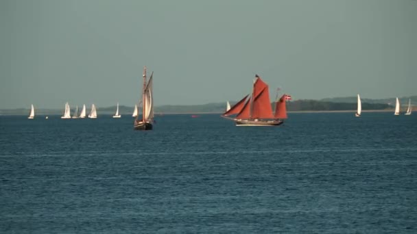 Festival Barcos Dinamarca Aarhus Escandinávia Moderno Iate Vela Entrando Antigo — Vídeo de Stock