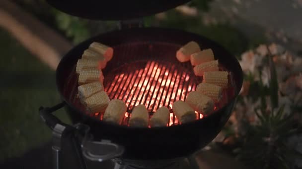 Brændende Rundgrill Udsigt Fra Oven Grill Forberedelse Brændende Rundgrill Udsigt – Stock-video