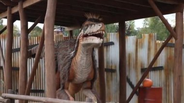 Jurassic Parkı. Nesli tükenmiş dinozorlar. Dinozorların hareketli modelleri eğlence parkında, Motorize Otantik Dinozor Yırtıcısı Farklı Model Model Parkta. Dinozor modeli, Jurassic Tarih Öncesi Dönemden Hayvanlar 