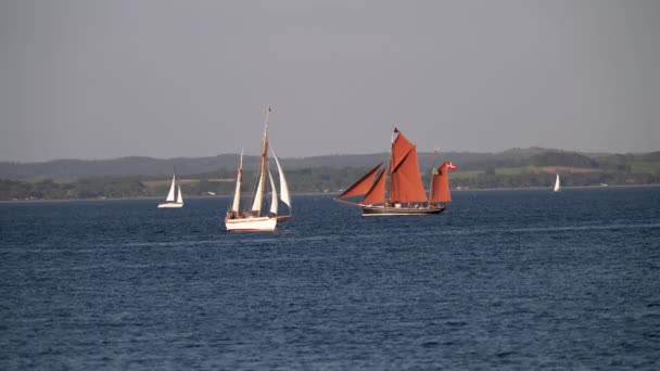 丹麦阿尔胡斯 斯堪的纳维亚半岛 的船节 现代游艇驶入古老的传统意义上的丑闻鸟类港湾 桅杆航行古船逆风停靠在游艇上夏季航行期间 帆船在丹麦 小船在斯堪的纳维亚 小船在北欧 — 图库视频影像