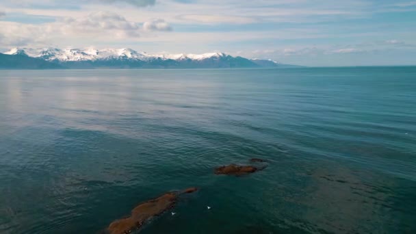 从空中俯瞰冰岛黑色的火山海滩和海中巨怪的脚尖岩石 无人驾驶飞机射击 俯瞰冰岛的黑色沙滩 巨大的岩石 悬崖和浅蓝色的海水 — 图库视频影像