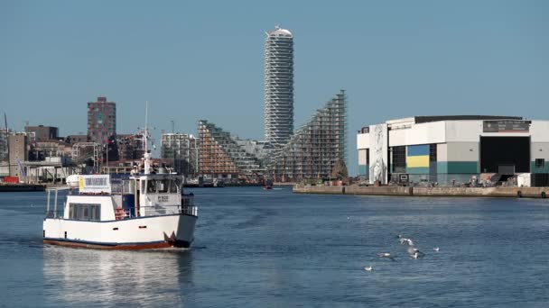 Festival Barcos Dinamarca Aarhus Escandinavia Yate Vela Moderna Que Entra — Vídeos de Stock